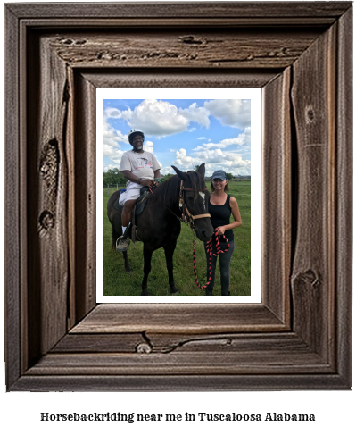 horseback riding near me in Tuscaloosa, Alabama